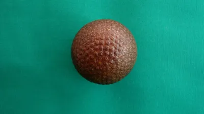 Gutty cover Bramble ball c.1905